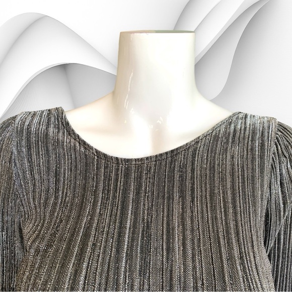 SOCIETY AMUSE SILVER METALLIC PLISSE PANTS & MATCHING TOP. WOMEN’S SIZE XS. NWT - Picture 5 of 11